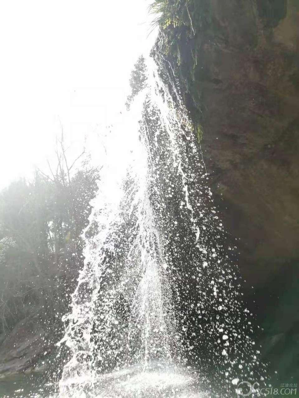 亚洲龙和雅阁哪个好?哪款性价比高?——专业问答平台
