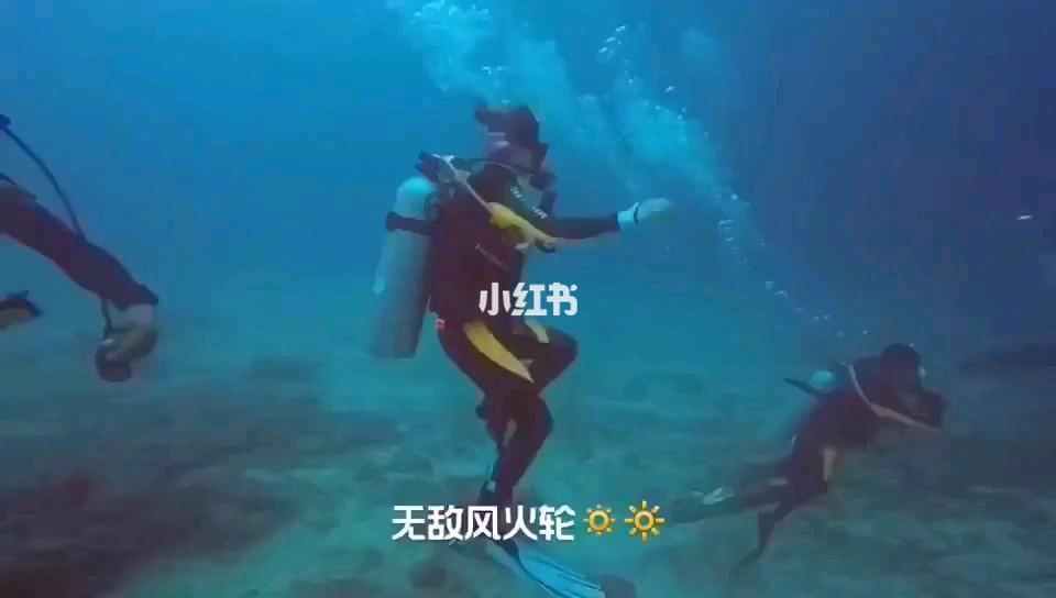 我国首台国产场发射透射电镜发布