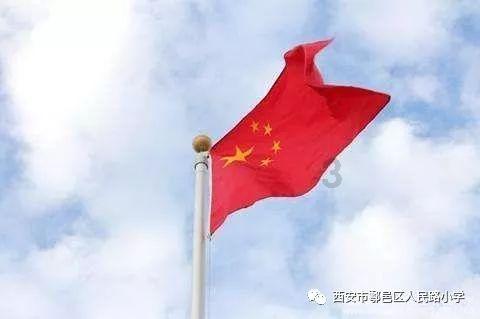 玄凤鹦鹉养多少可以办证？