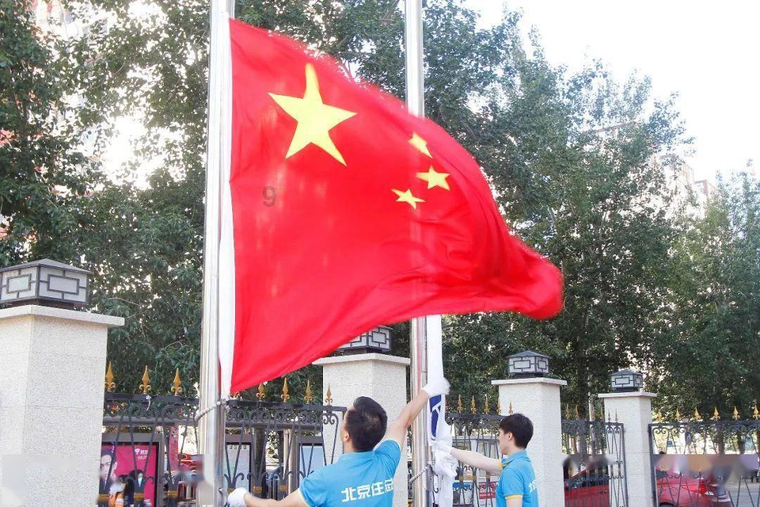 银河中动物逃生