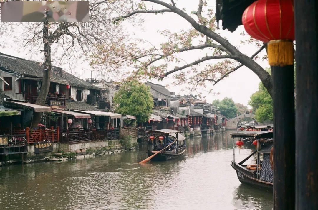 拯救小萌虎
