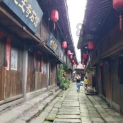 逗小猴开心系列173